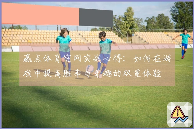 赢点体育官网实战心得：如何在游戏中提高胜率与乐趣的双重体验